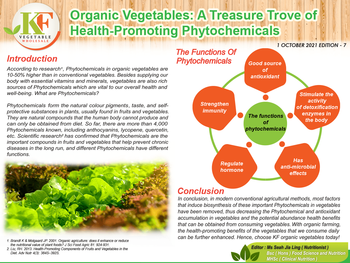 Organic Vegetables: A Treasure Trove of Health-Promoting Phytochemicals
